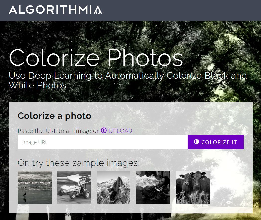 Algorithmia приложение раскрасить черно белых фотографий