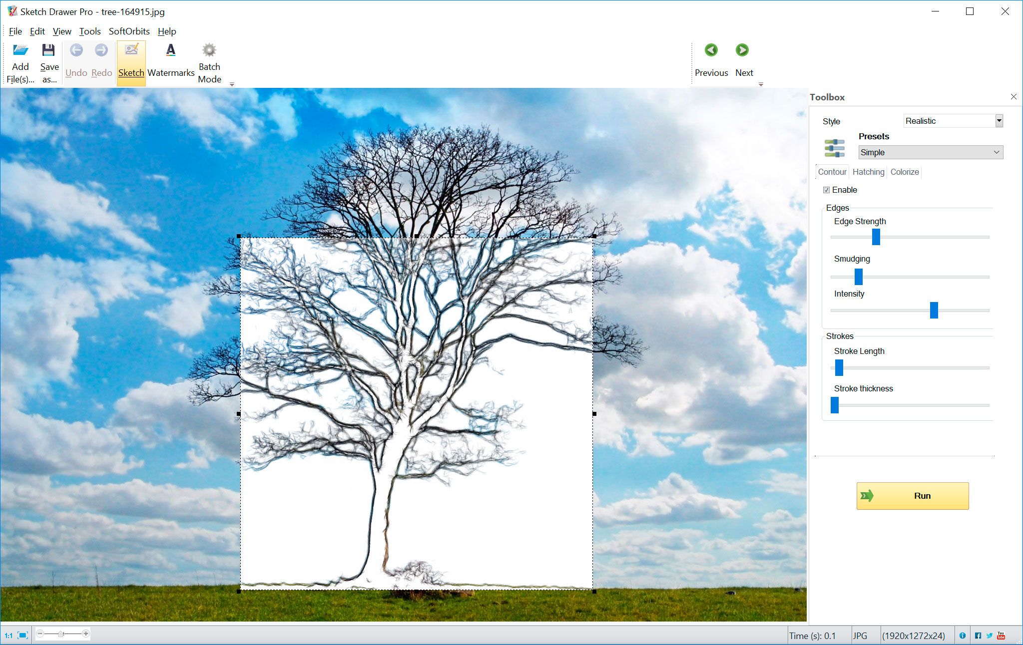 Преобразование фотографии дерева в линейный рисунок..